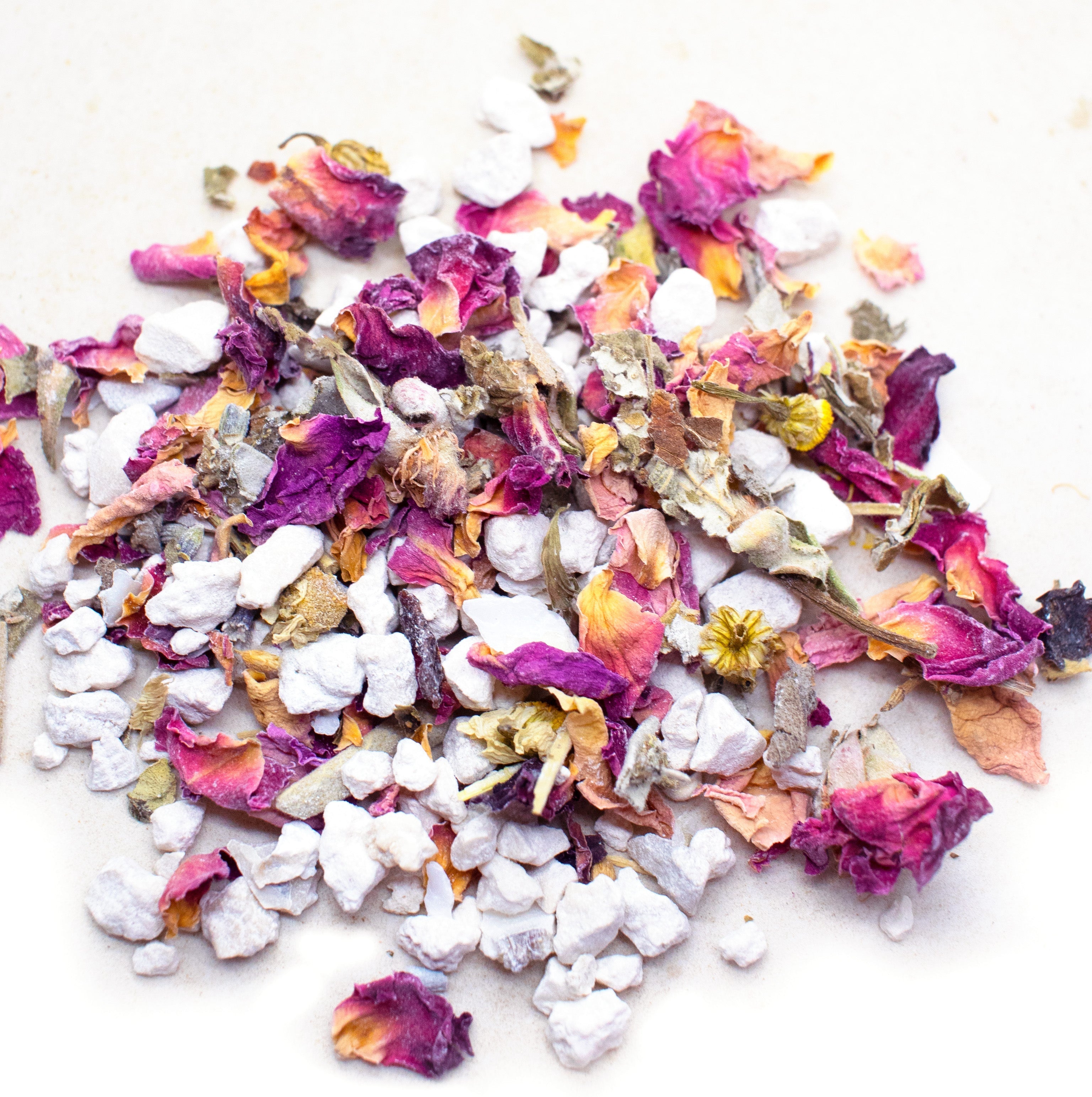 Herbal Oyster Shells by Dahlia Pets