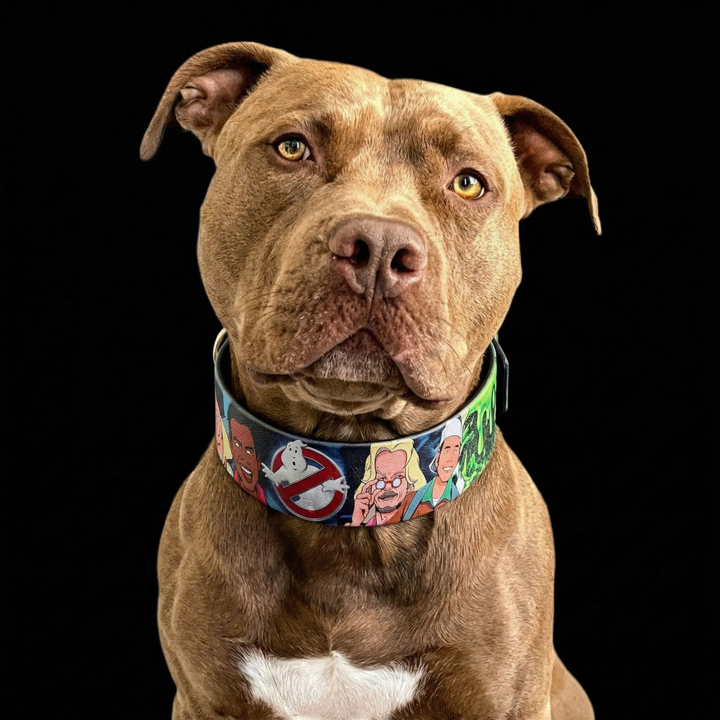 The “Ghostbuster” collar -LIMITED by Bestia Dog Gear