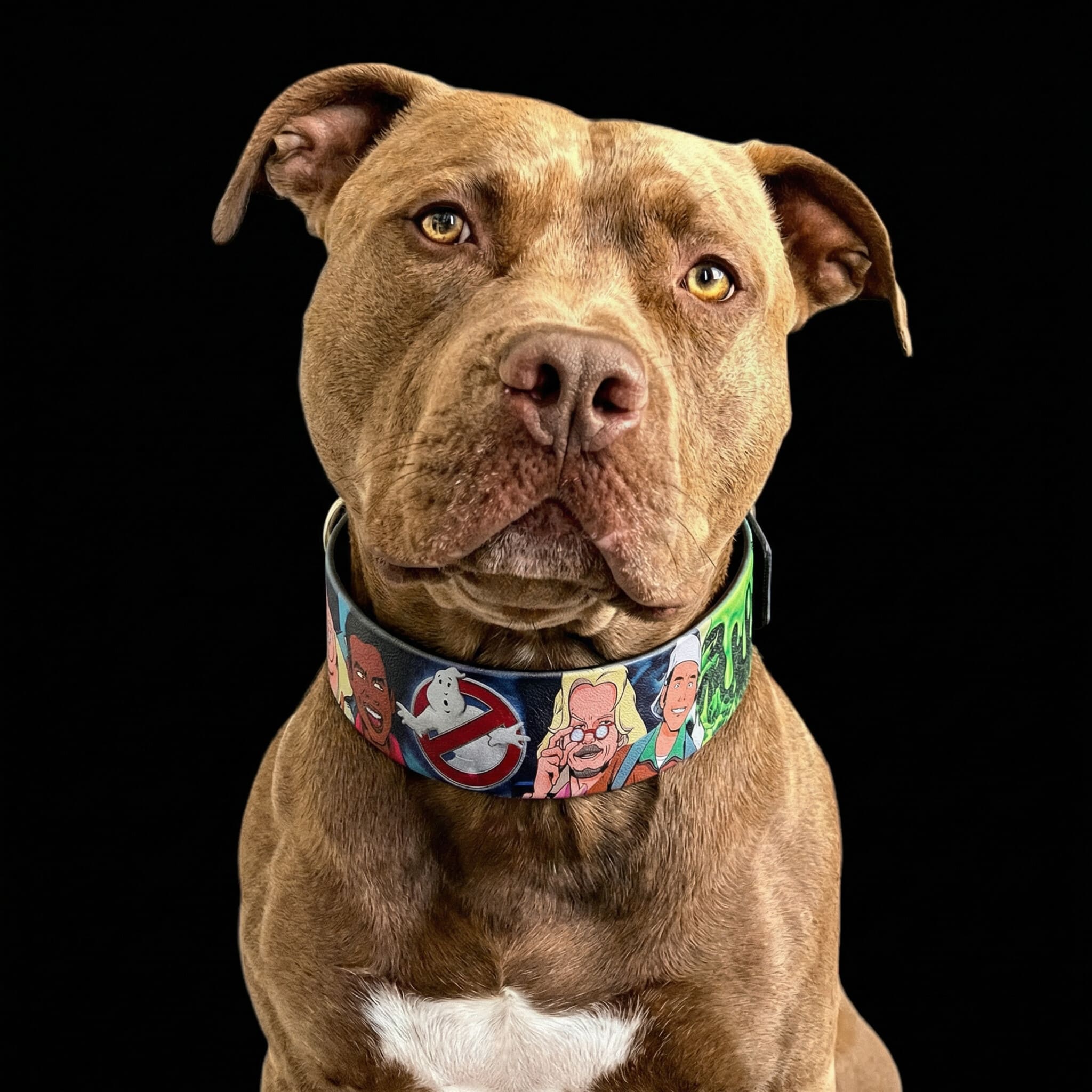 The “Ghostbuster” collar -LIMITED by Bestia Dog Gear
