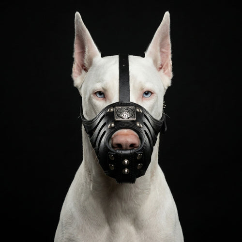 ''Eros'' Basket Muzzle All Black by Bestia Dog Gear