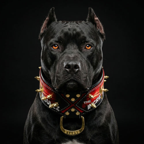 "The Incredibullz" Royalty Collar by Bestia Dog Gear