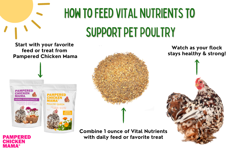 Vital Nutrients: Supplemental Essential Vitamins & Trace Minerals For Pet Chickens & Ducks by Dahlia Pets