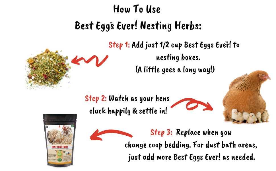 Best Eggs Ever! Nesting Herbs (Chamomile, Roses, Lavender, Cornflowers, & Calendula) For Pet Chickens by Dahlia Pets