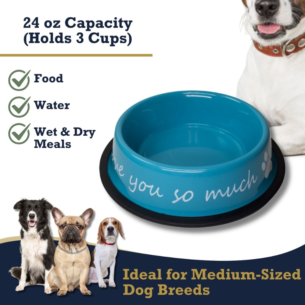 I LOVE YOU SO MUCH Modern Stainless Steel Dog Bowl – 24oz by American Pet Supplies