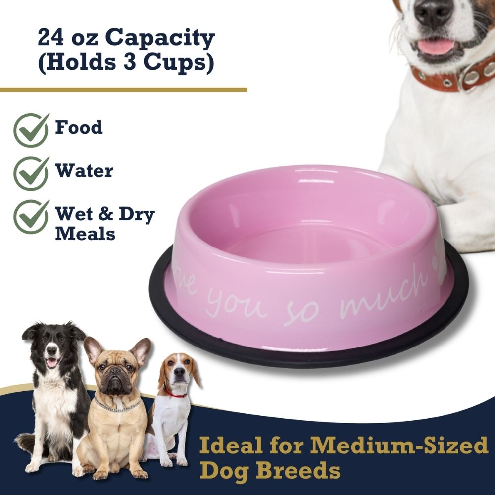 I LOVE YOU SO MUCH Modern Stainless Steel Dog Bowl – 24oz by American Pet Supplies