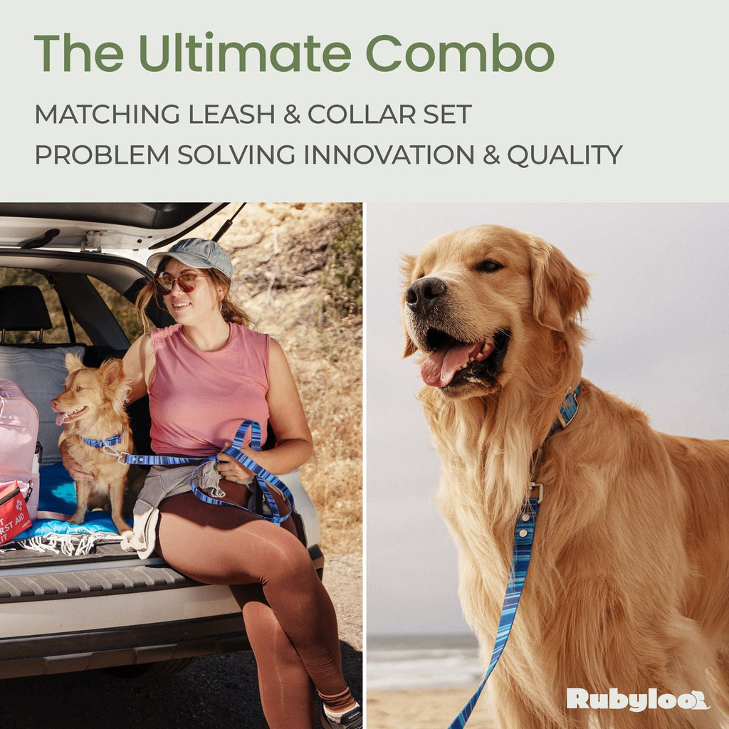 Washable, Waterproof & Stink Proof Dog Leashes by Rubyloo