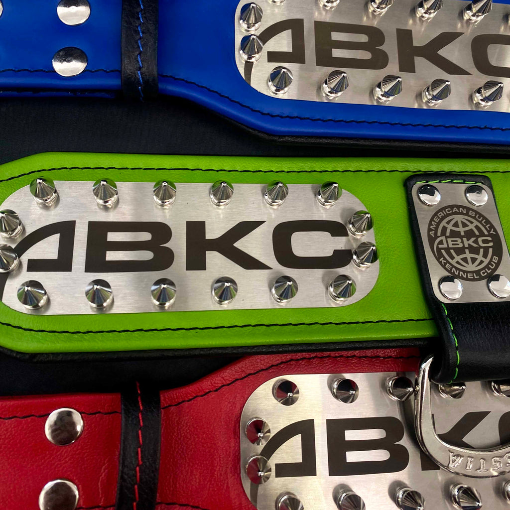 The ABKC Collar by Bestia Dog Gear