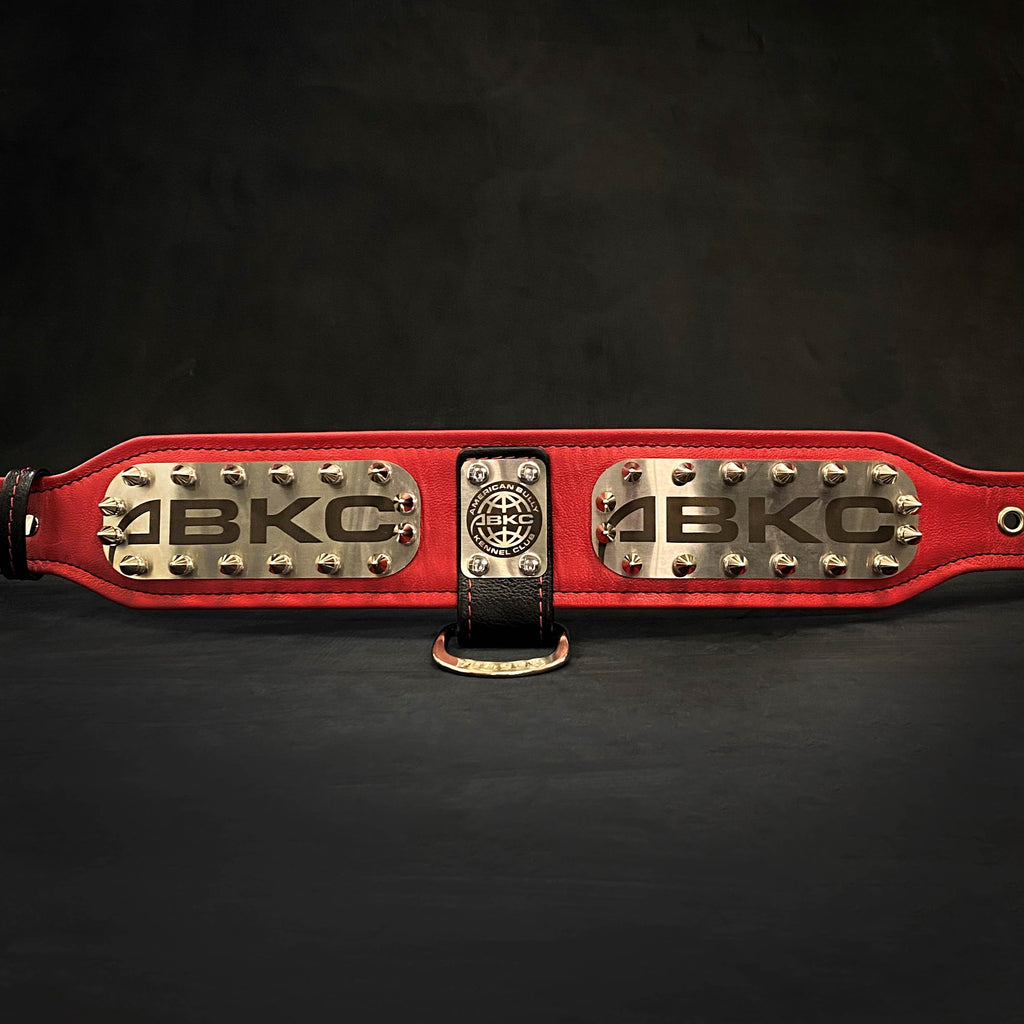 The ABKC Collar by Bestia Dog Gear