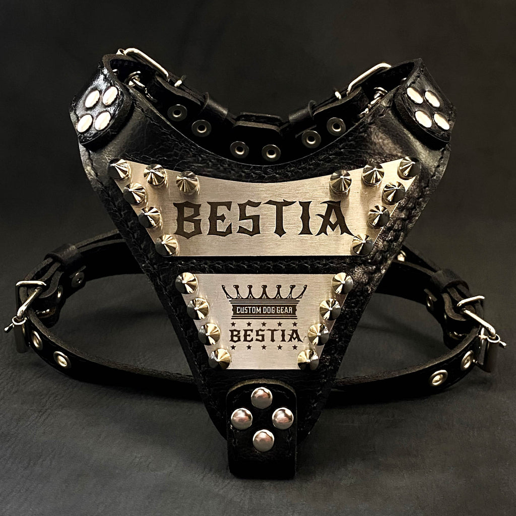 The "Metal" harness small to medium size - Personalized by Bestia Dog Gear