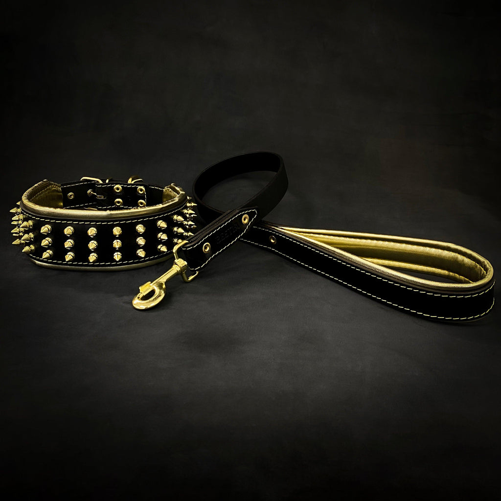 The "Gold Giant" collar by Bestia Dog Gear