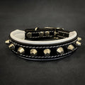 The "Rock" collar by Bestia Dog Gear