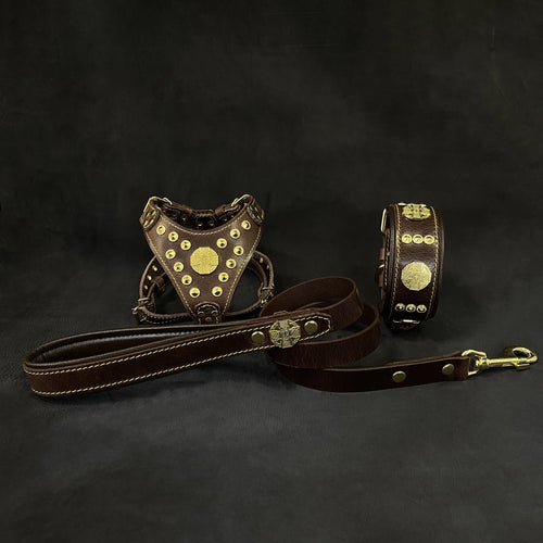 "Maximus Brown&Gold" Small dog SET - Harness - collar - lead by Bestia Dog Gear