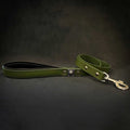 The "Eros" Green Leash 1 inch wide by Bestia Dog Gear