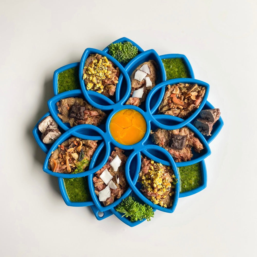 Mandala eTray Shallow Slow Feeder Dog Bowl for Enrichment | USA Made by SodaPup/True Dogs, LLC