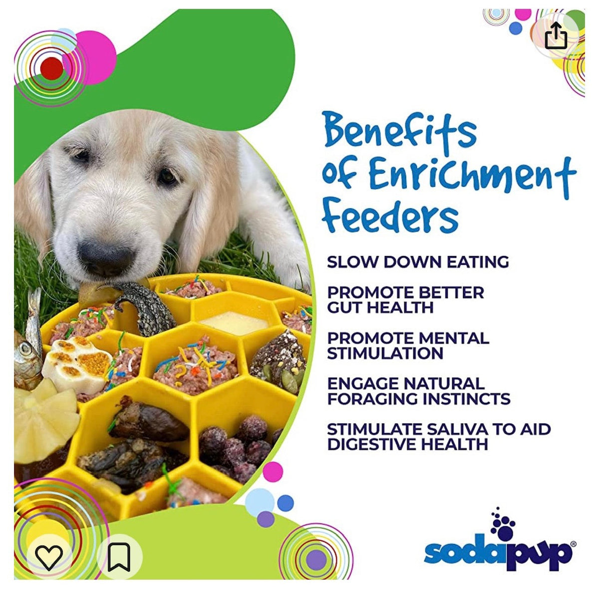 Honeycomb eBowl Deep Slow Feeder Dog Bowl for Enrichment | USA Made by SodaPup/True Dogs, LLC