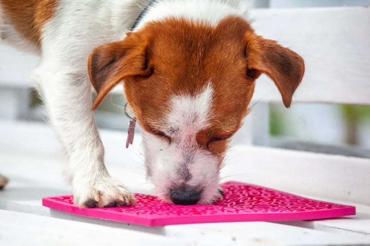 Flower Power emat - Enrichment Lick Mat for Dogs and Cats | Flower Design | USA Made by SodaPup/True Dogs, LLC