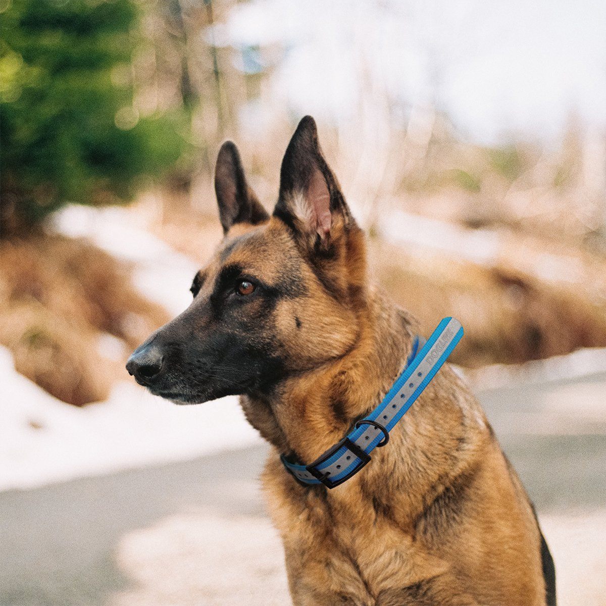 Biothane E-Collar Replacement Reflective Strap by Dogline