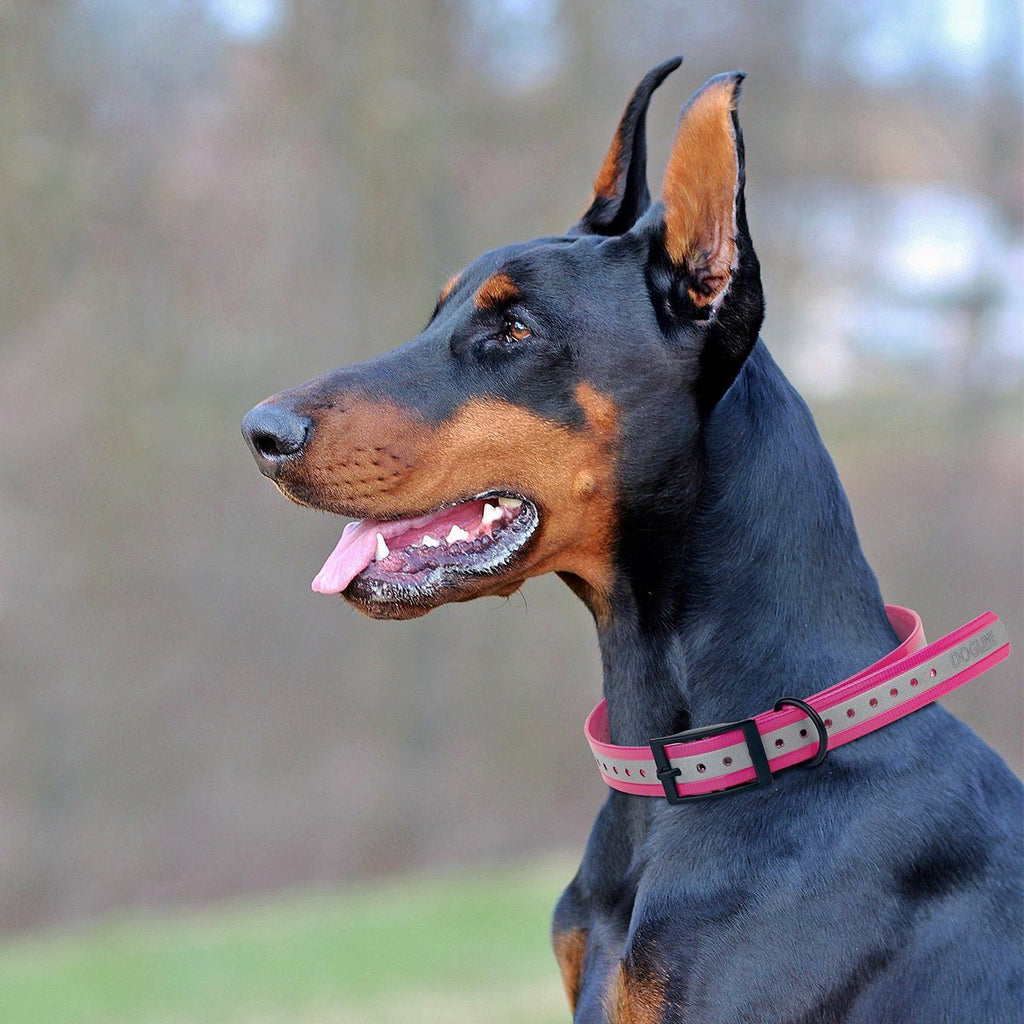 Biothane E-Collar Replacement Reflective Strap by Dogline