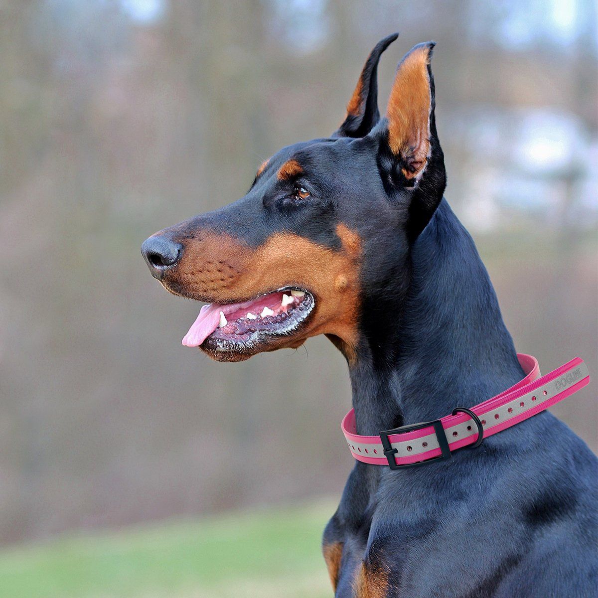 Biothane E-Collar Replacement Reflective Strap by Dogline