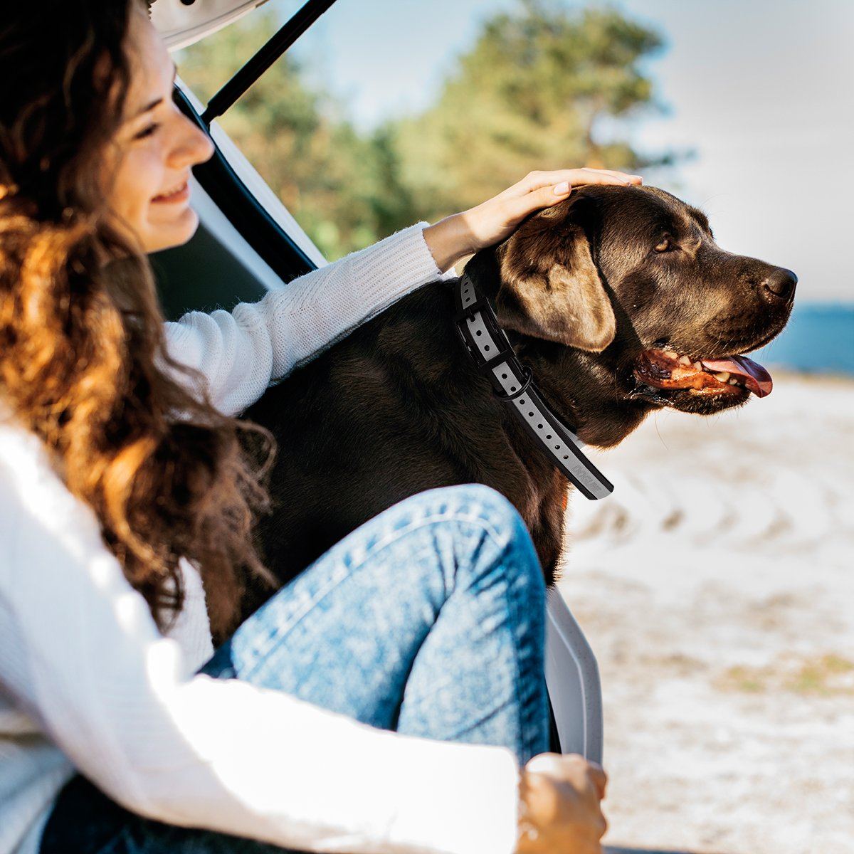 Biothane E-Collar Replacement Reflective Strap by Dogline