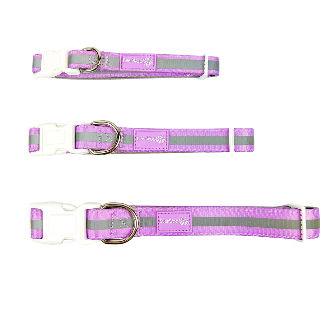 Shine Bright - Amethyst Collar