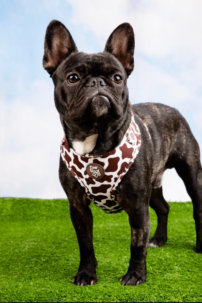 Chocolate Cow Adjustable Harness
