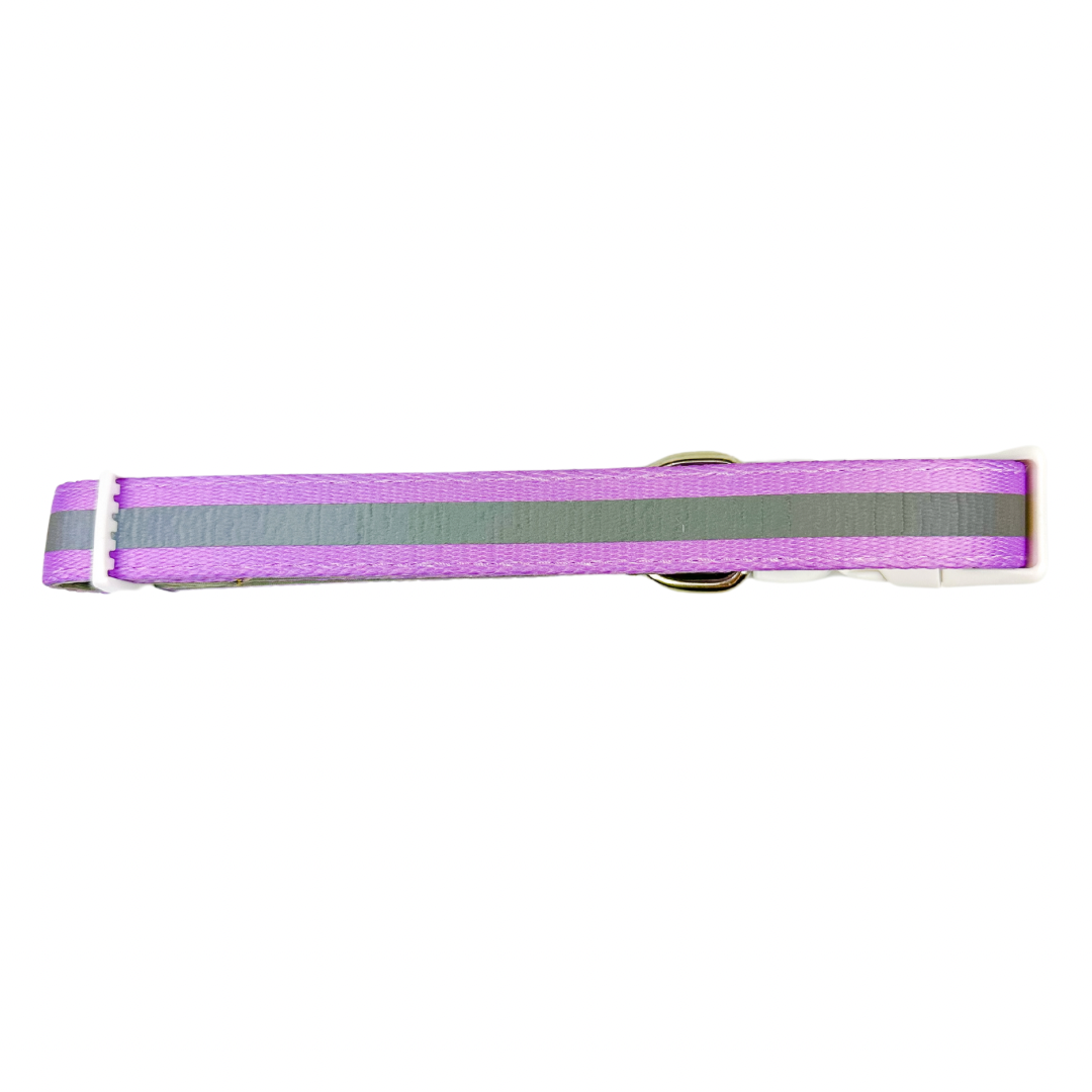 Shine Bright - Amethyst Collar