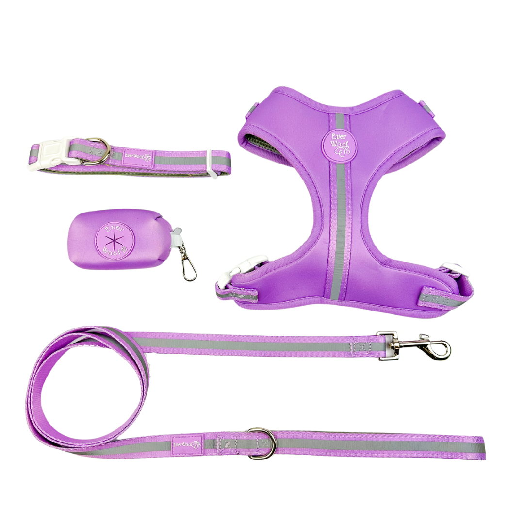 Shine Bright - Amethyst Adjustable Harness