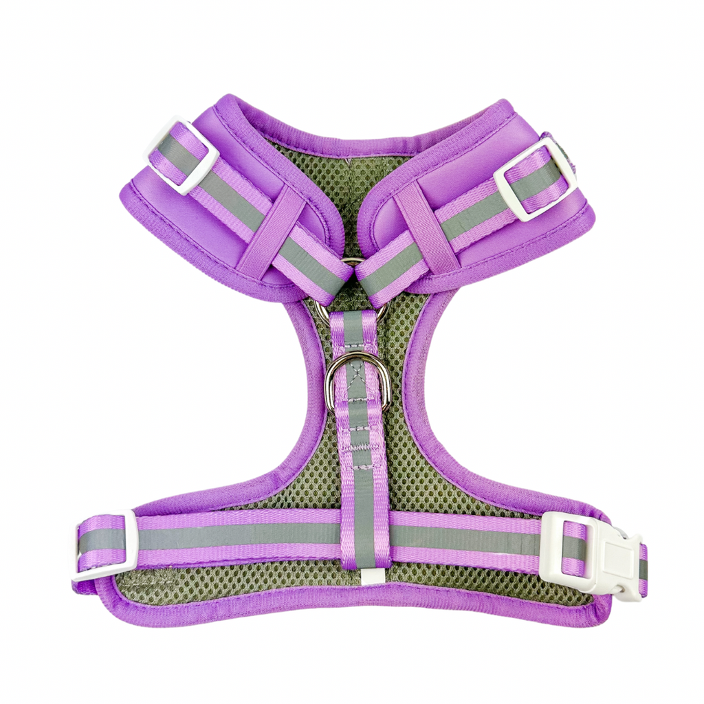 Shine Bright - Amethyst Adjustable Harness