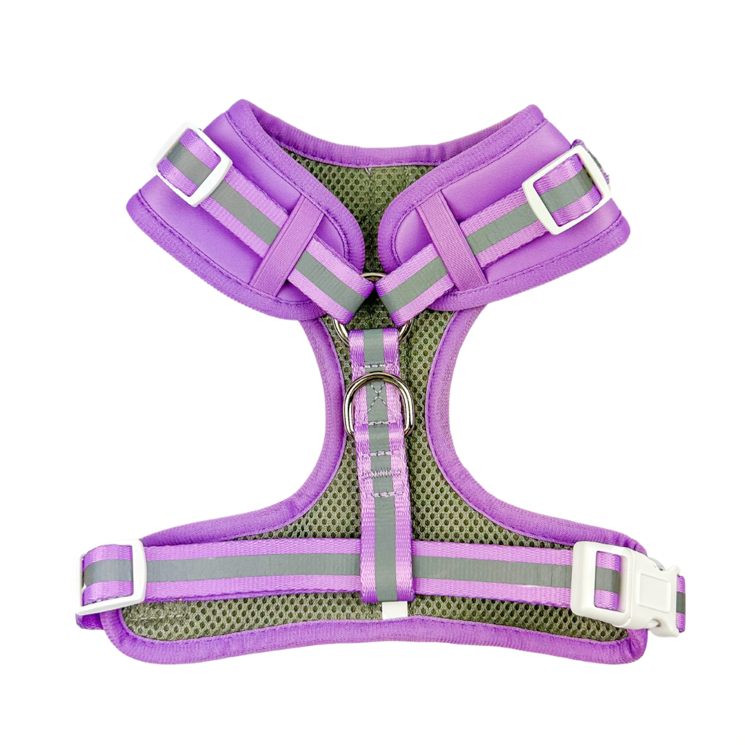 Shine Bright - Amethyst Adjustable Harness