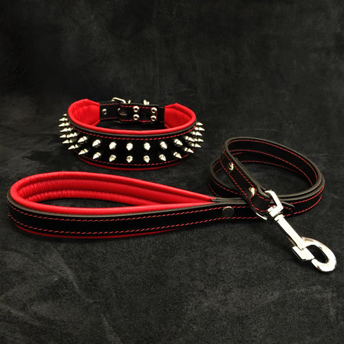 "Frenchie" Set- collar & leash. Red by Bestia Dog Gear