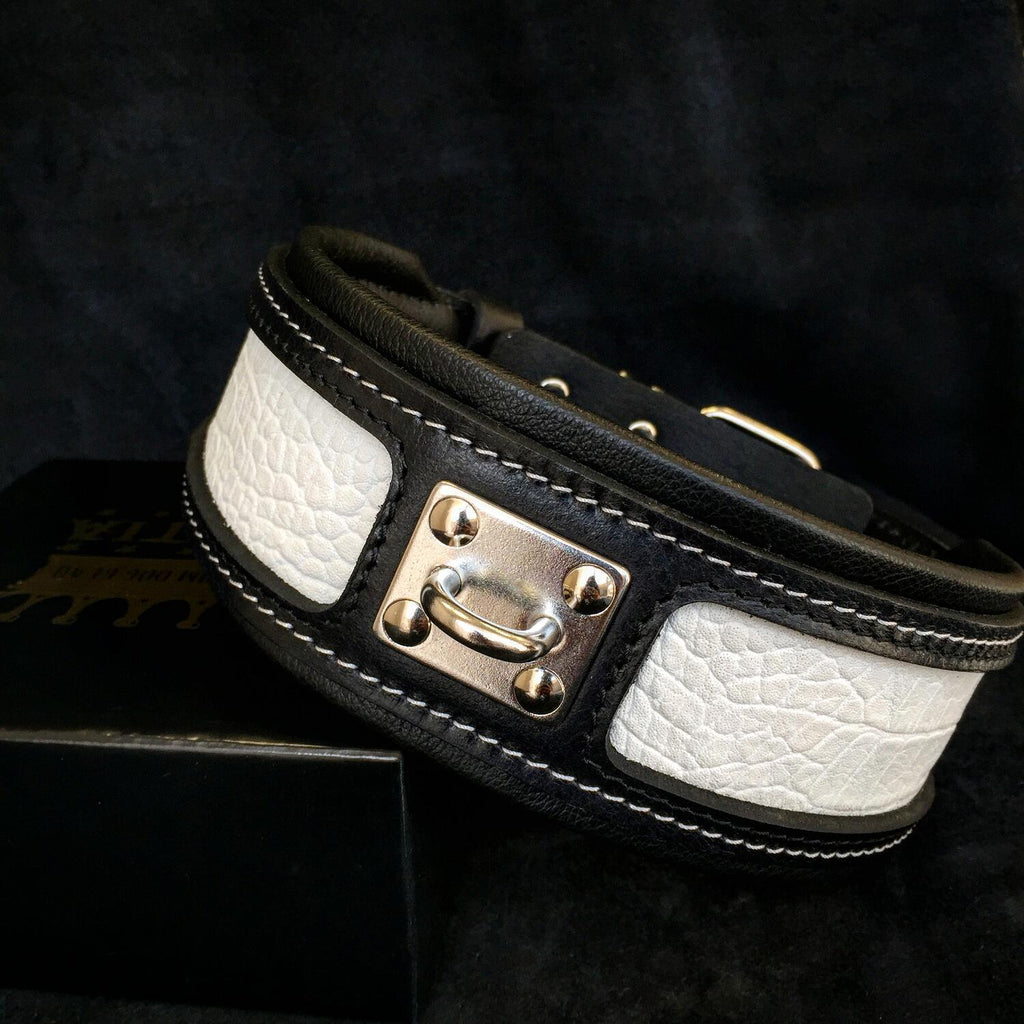 The "Reptile" collar by Bestia Dog Gear