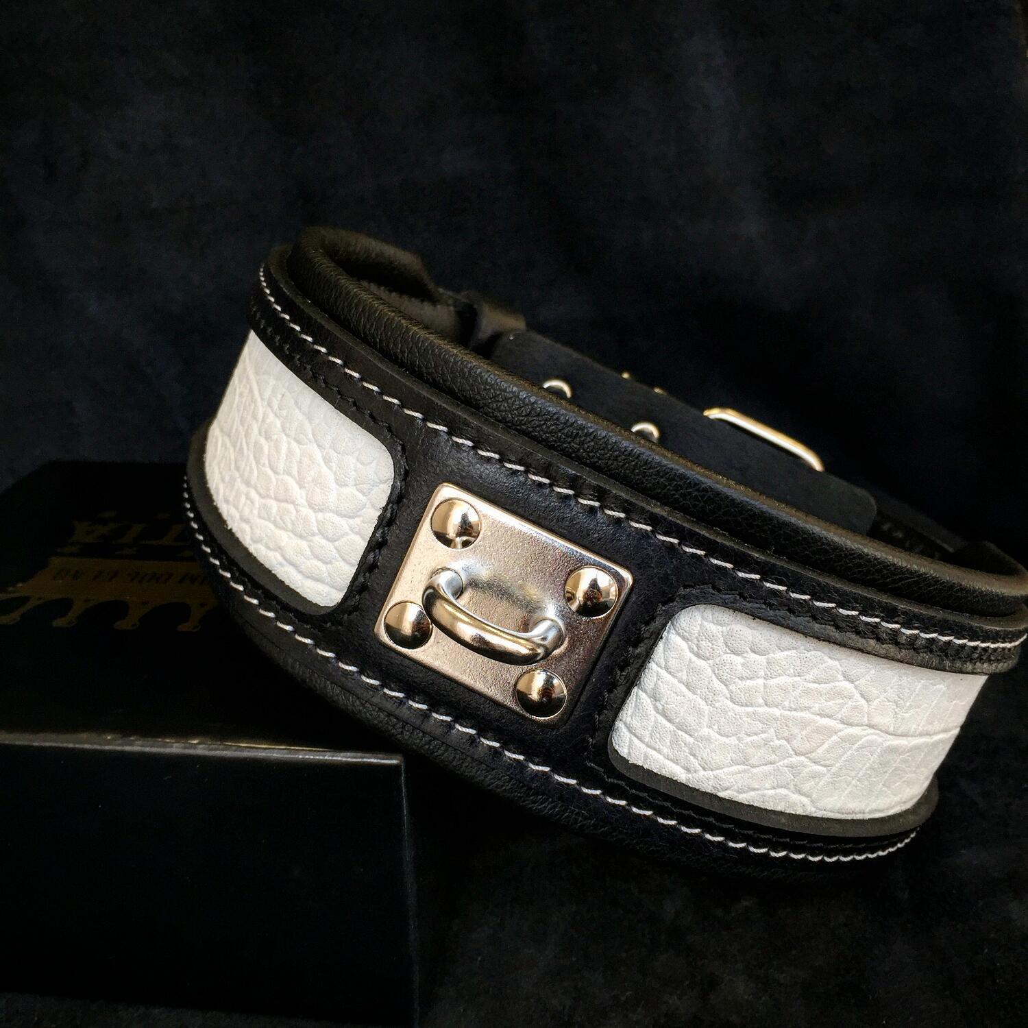The "Reptile" collar by Bestia Dog Gear