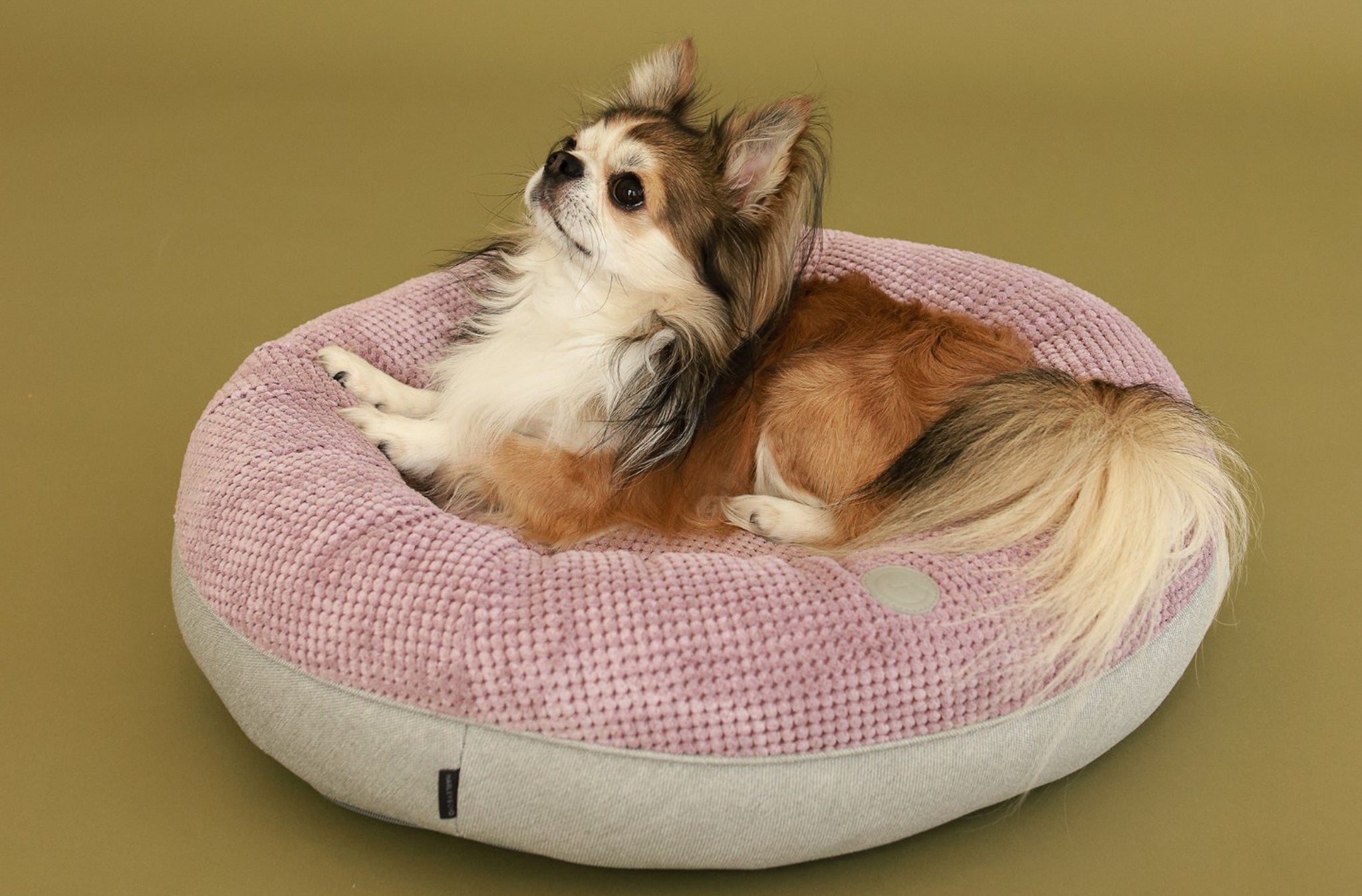 Chester & Lee | Light Pink Donut Dog Bed by Chester & Lee