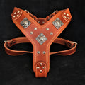 The "Eros" harness brown by Bestia Dog Gear