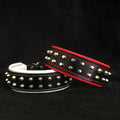 "Rocky" collar by Bestia Dog Gear