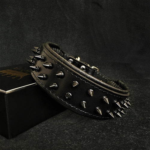 BLACK "Frenchie" collar by Bestia Dog Gear
