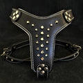 The "Rocky" studded leather harness Small to Medium Size by Bestia Dog Gear