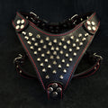 ''Frenchie'' studded leather harness Small to Medium Size by Bestia Dog Gear