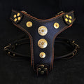 The ''Bijou'' harness Black & Orange Small to Medium Size by Bestia Dog Gear