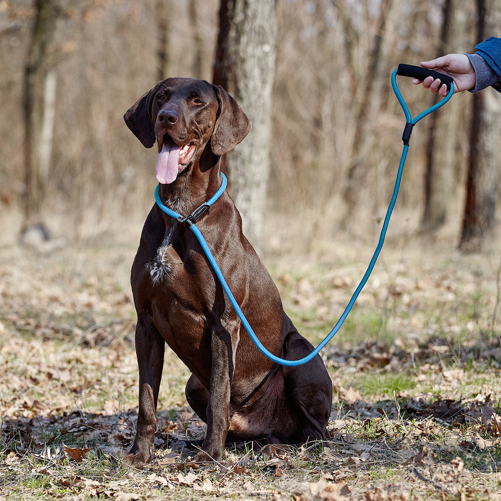 Round Nylon Slip Lead by Dogline