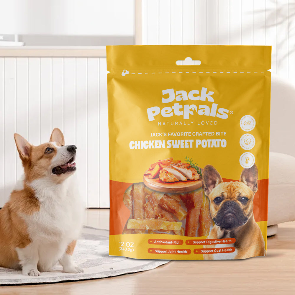 Jack PetPals Crafted Bite Chicken Sweet Potato Dog Treats (12oz) by American Pet Supplies