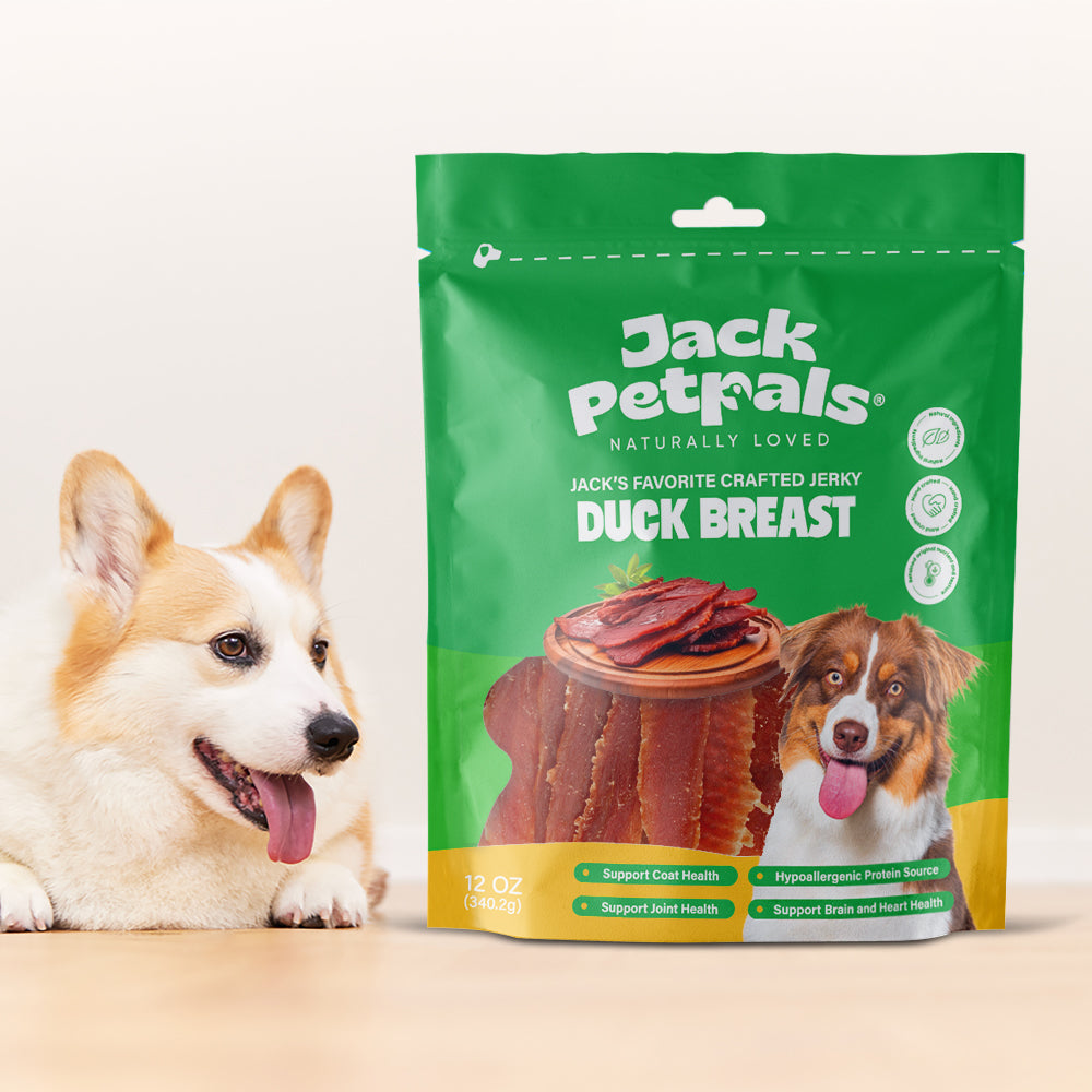 Jack PetPals Handcrafted Jerky Duck Breast Dog Treats (12oz) by American Pet Supplies