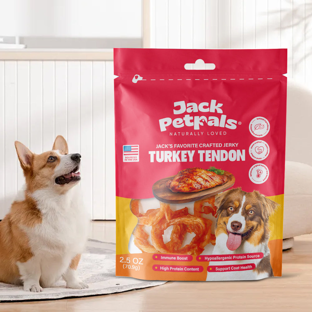 Jack PetPals Handcrafted Jerky Turkey Tendon Dog Treats (2.5oz) by American Pet Supplies