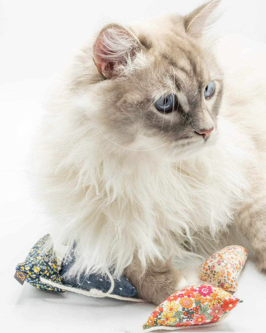 MODERN MOUSE CATNIP TOY - FLORAL by MODERNBEAST