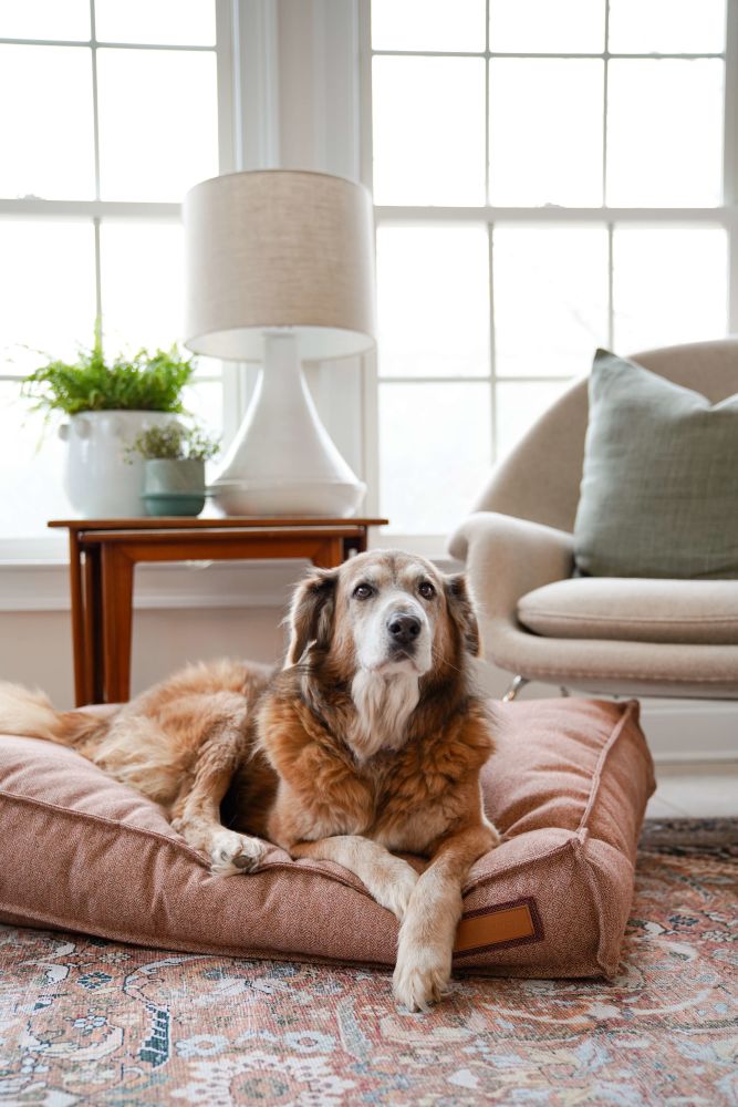 Lounger Pet Bed in Pittie Pink by Furr Baby Gifts