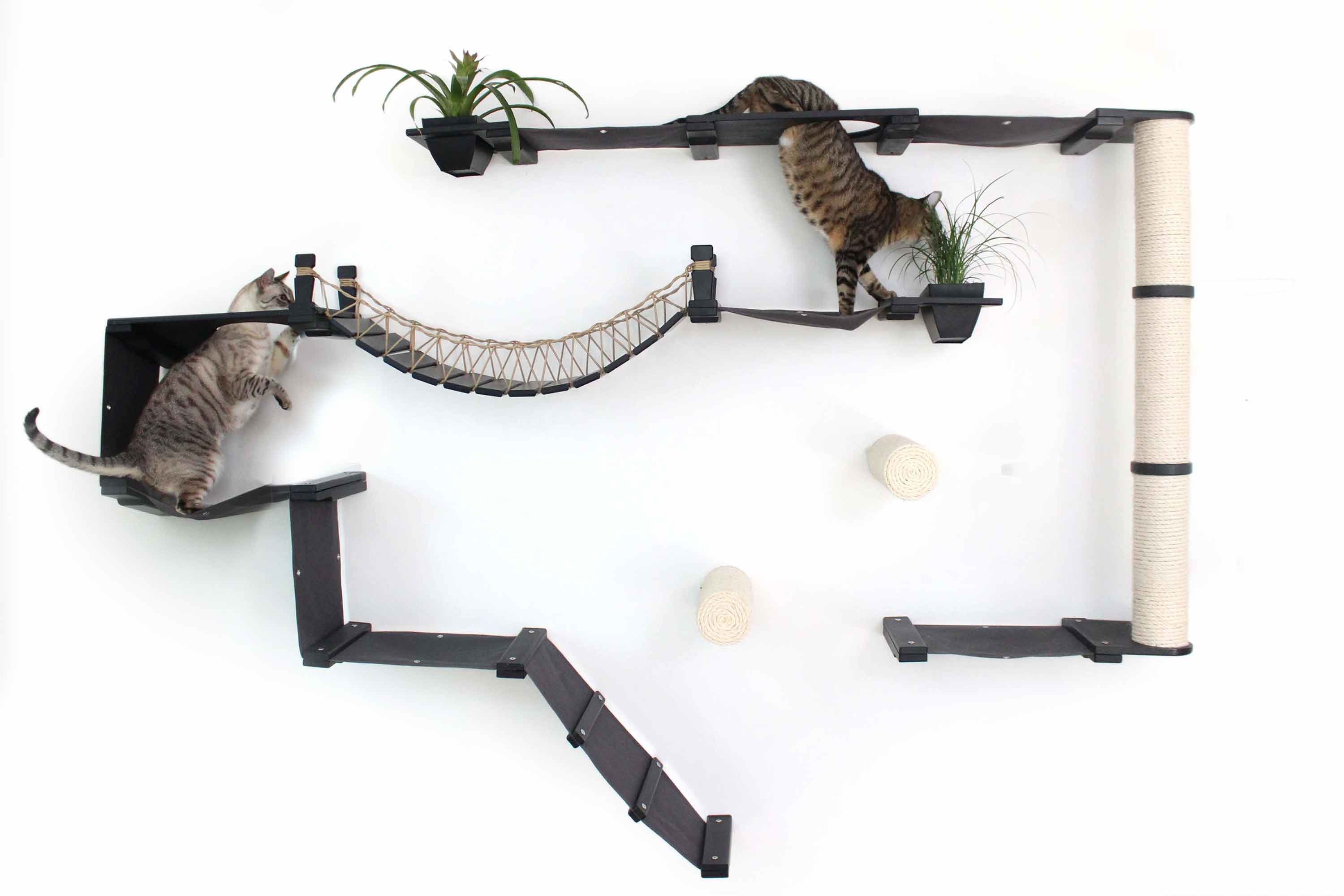 The Juggernaut - Indoor Cat Playground for Wall