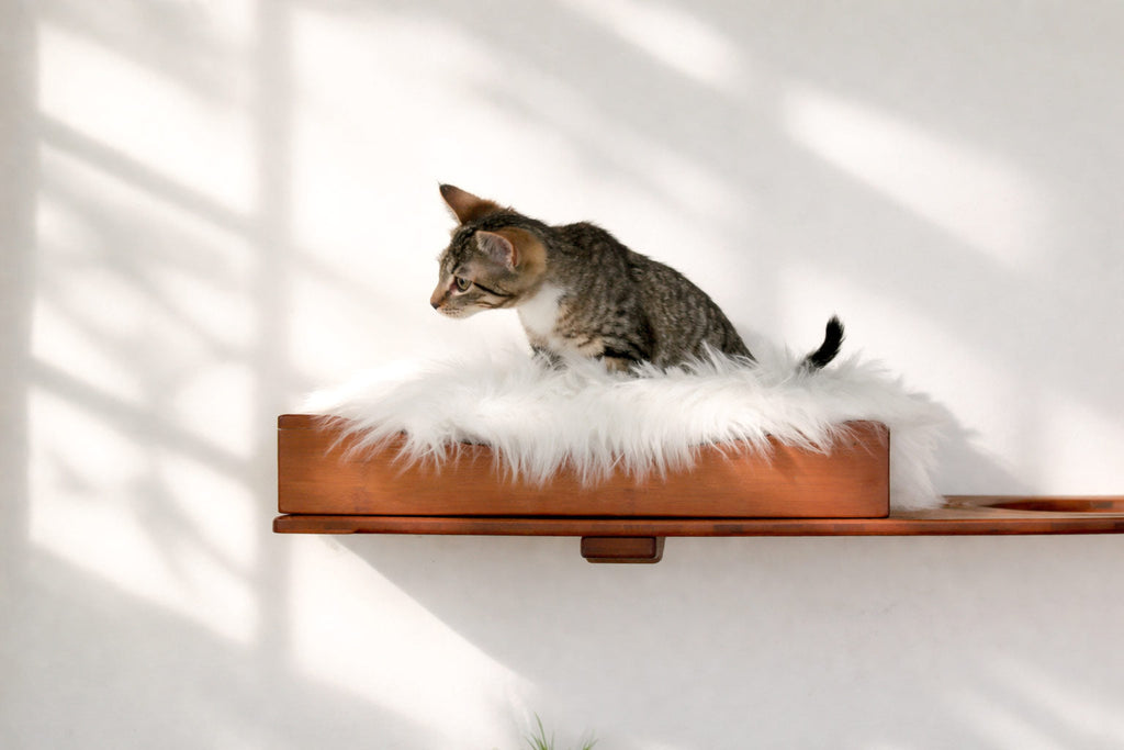 The Cat Nest Bed by Catastrophic Creations