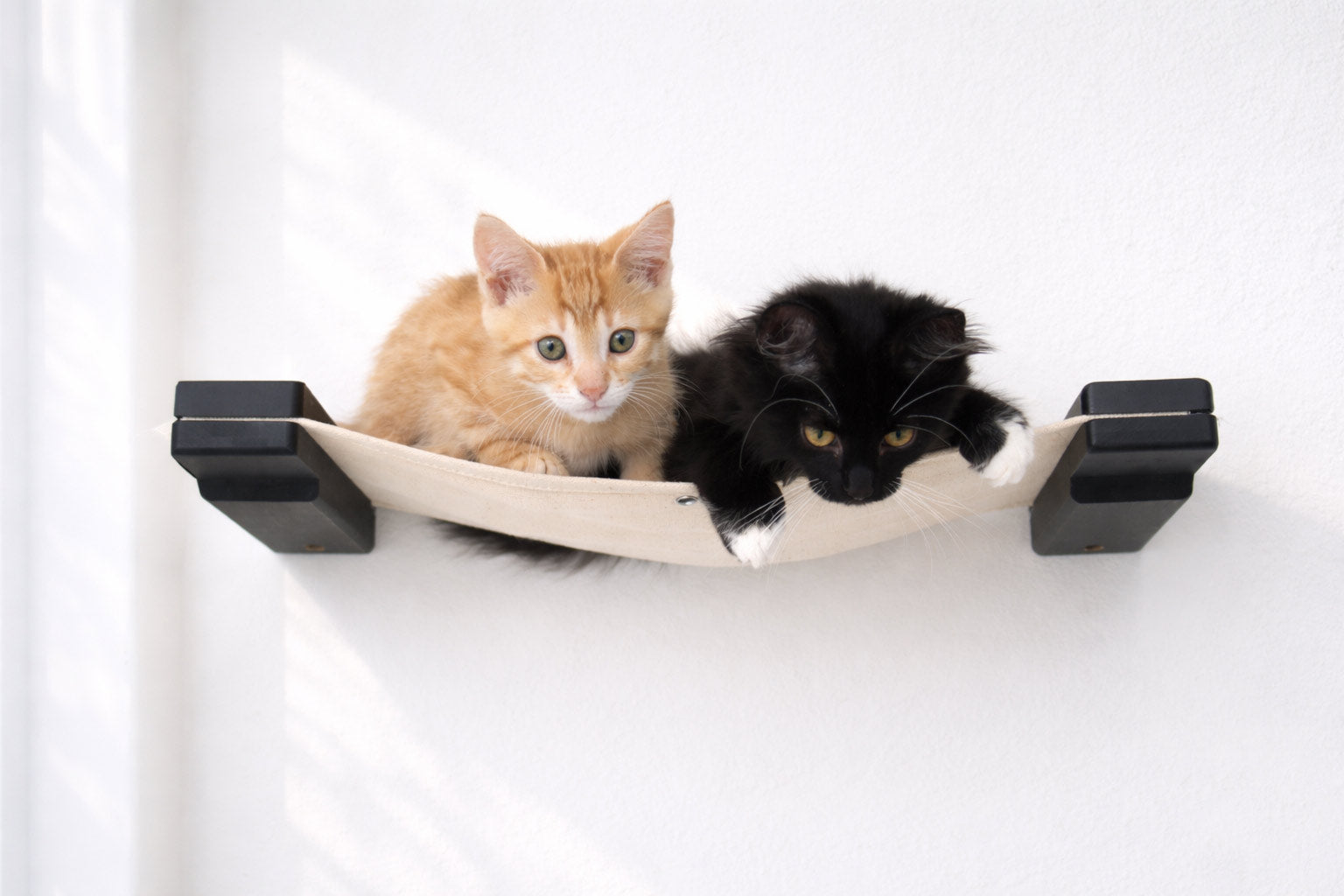 Hanging Cat Bed Hammock by Catastrophic Creations