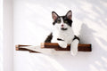 Hanging Cat Bed Hammock by Catastrophic Creations